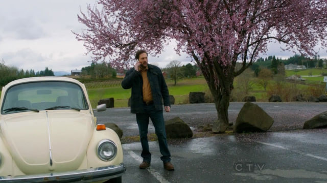 1974 Yellow (Cream) Volkswagen Beetle - Classic Coupe