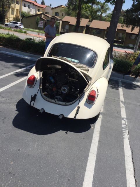 1971 Volkswagen Beetle - Classic