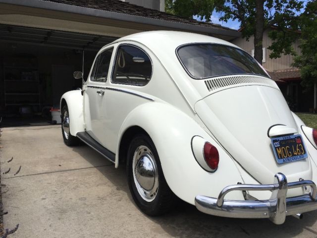 1965 White Volkswagen Beetle - Classic