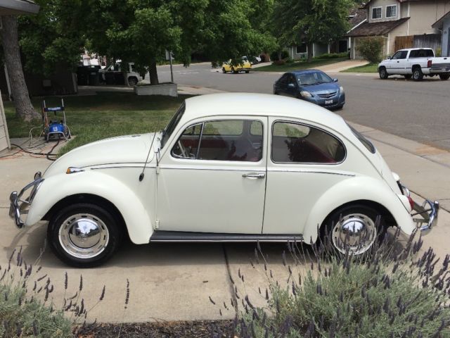 1965 White Volkswagen Beetle - Classic