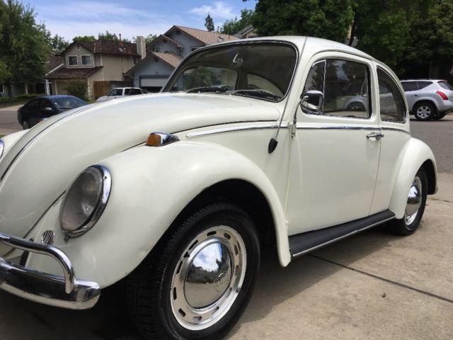 1965 White Volkswagen Beetle - Classic