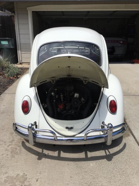 1965 White Volkswagen Beetle - Classic