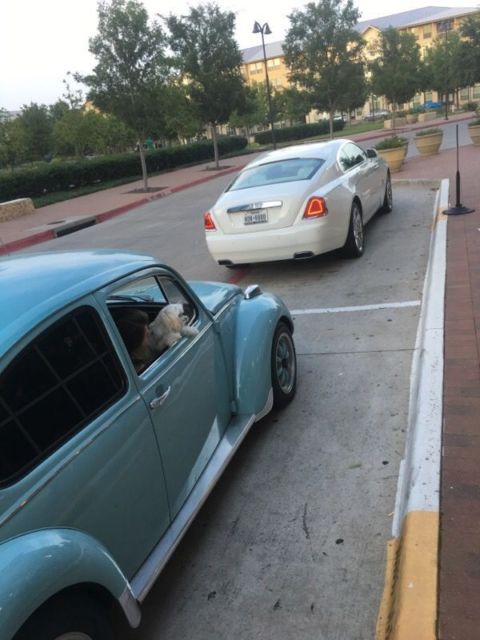 1971 Blue Volkswagen Beetle - Classic Coupe