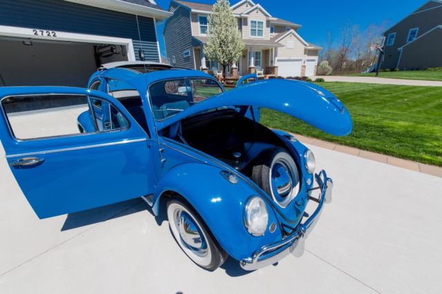 1960 Blue Volkswagen Beetle - Classic Coupe