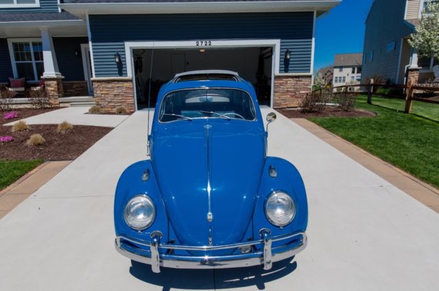 1960 Blue Volkswagen Beetle - Classic Coupe