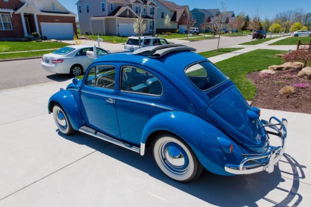 1960 Blue Volkswagen Beetle - Classic Coupe