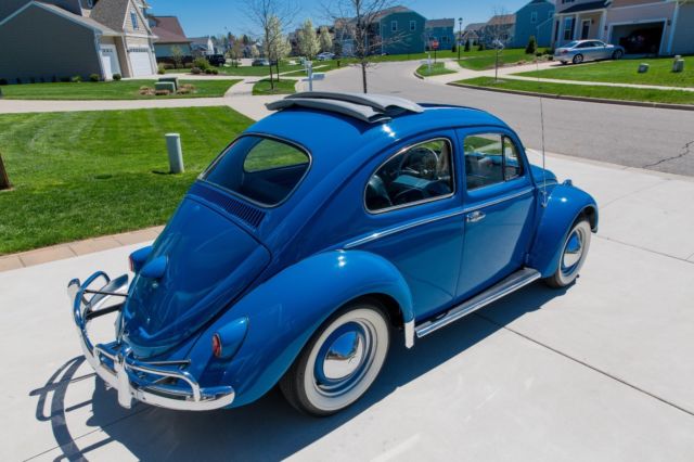 1960 Blue Volkswagen Beetle - Classic Coupe