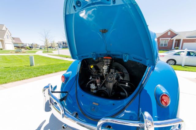 1960 Blue Volkswagen Beetle - Classic Coupe