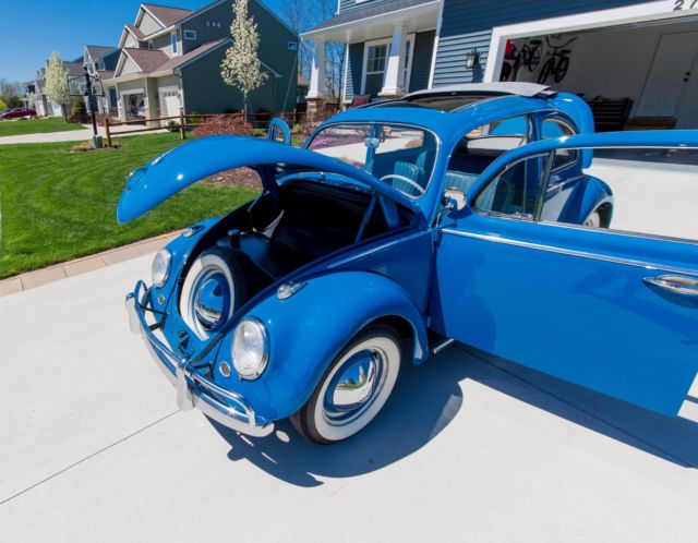 1960 Blue Volkswagen Beetle - Classic Coupe