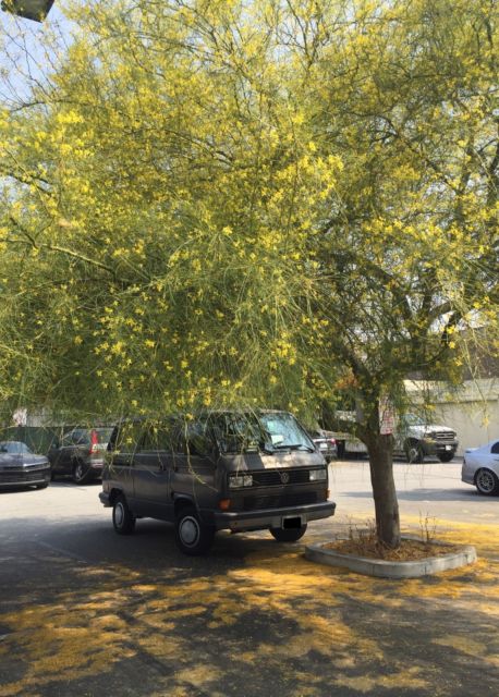 1987 Gray Volkswagen Bus/Vanagon