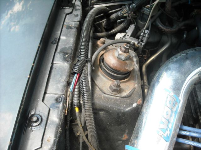 1986 Black Ford Mustang