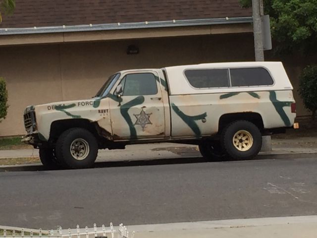 1974 camouflage Chevrolet Cheyenne Standard Cab Pickup