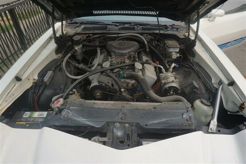 1981 White Chevrolet Camaro --