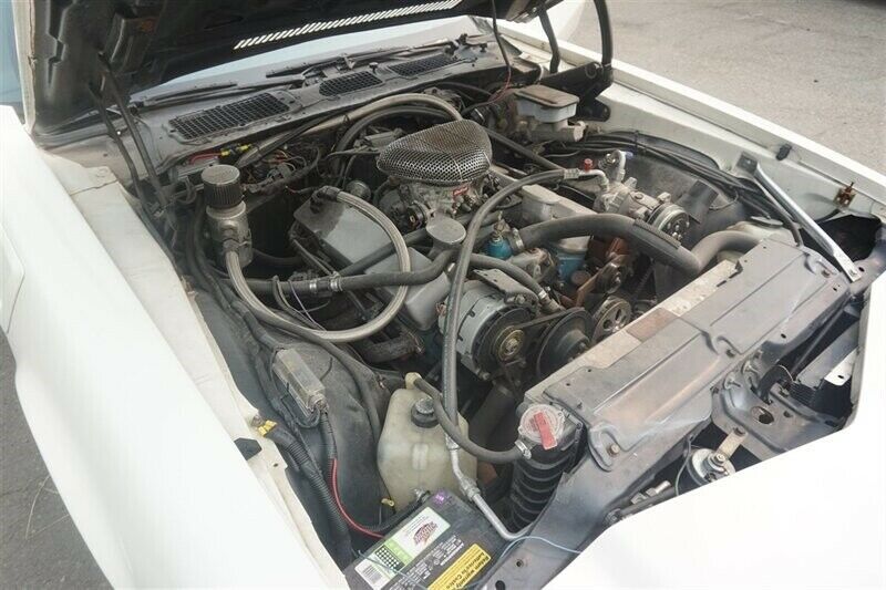 1981 White Chevrolet Camaro --