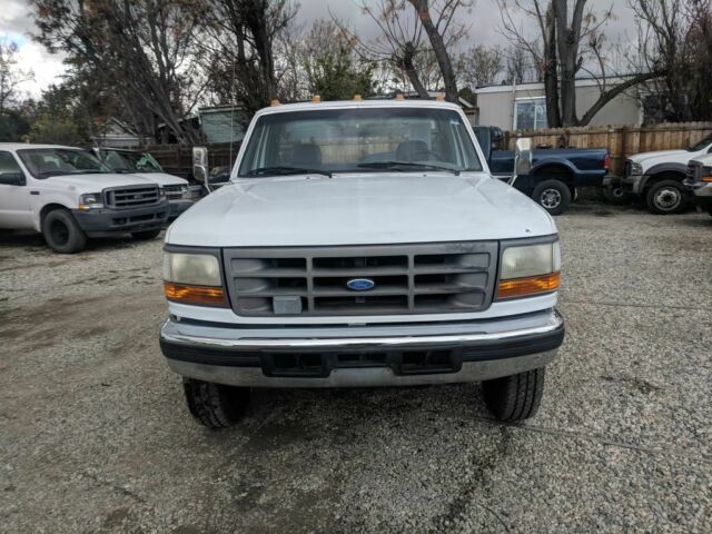 1994 White Ford F --