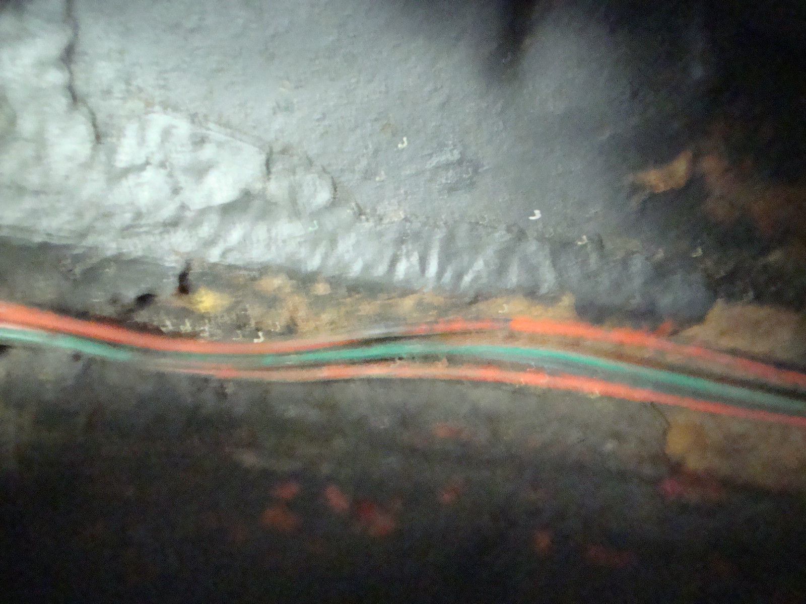 1967 Austin Healey Sprite